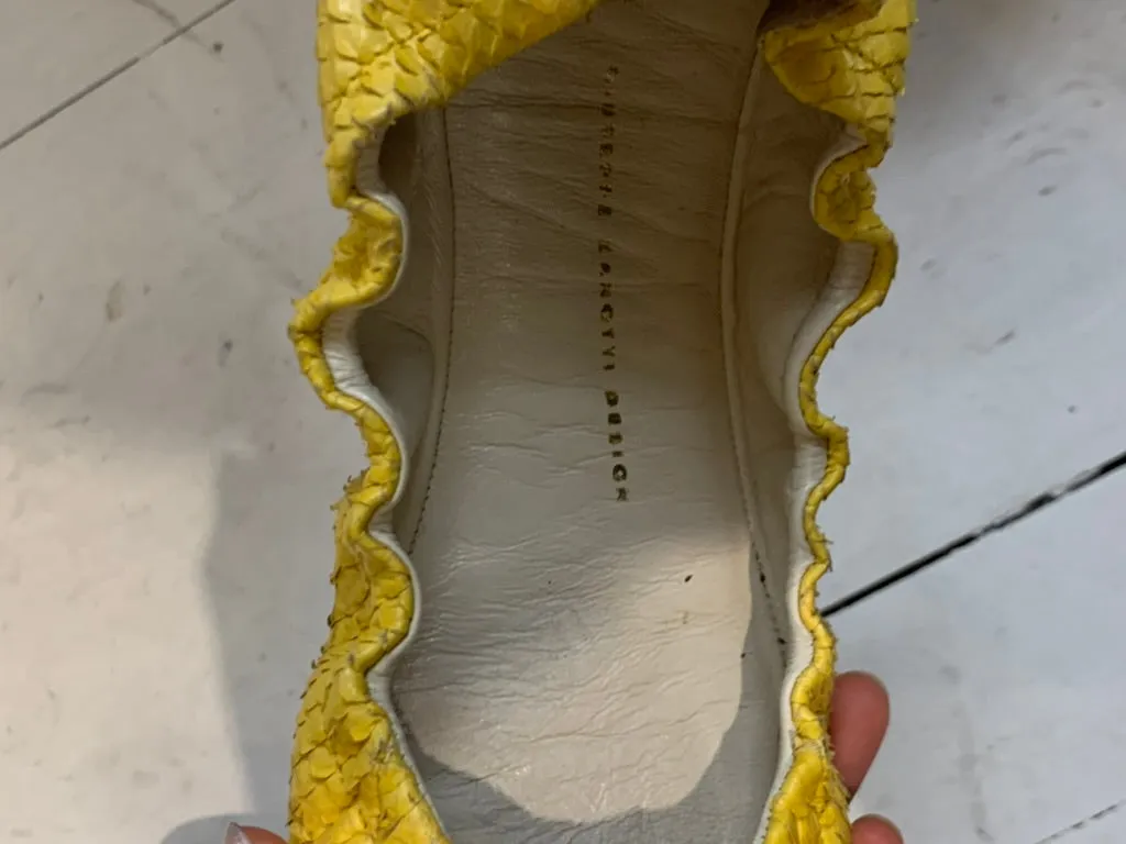 Animal print ballet flats, 41