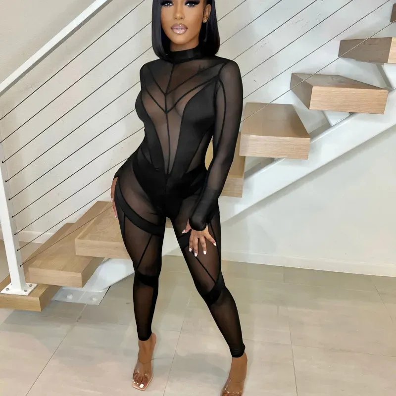 Siena Long Sleeve Sheer Mesh Panel Bodycon Jumpsuit